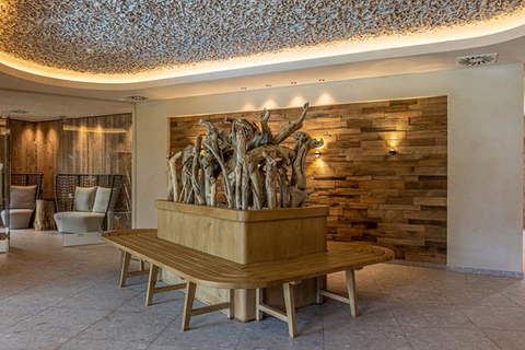 Mountain & Spa Resort Der Alpbacherhof foto 21