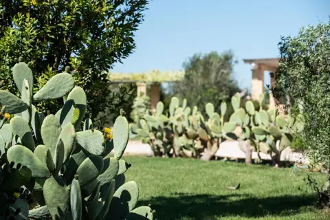 Borgo Rossoterra in Gallipoli — foto 25