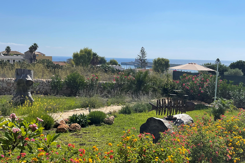 Casa Pomelia foto 26