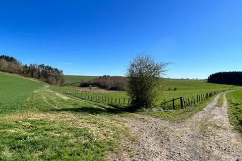 Hotel Restaurant Lamy foto 28