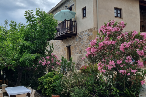 PIERIDES Suites & Studios foto 7