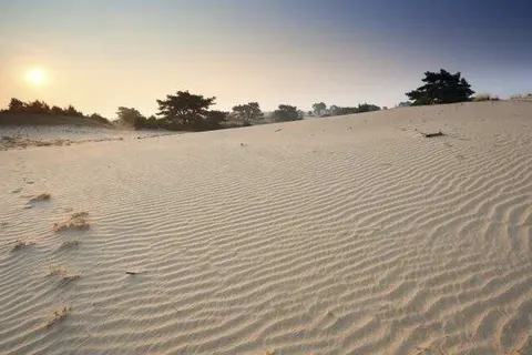 City Hotel de Jonge foto 20