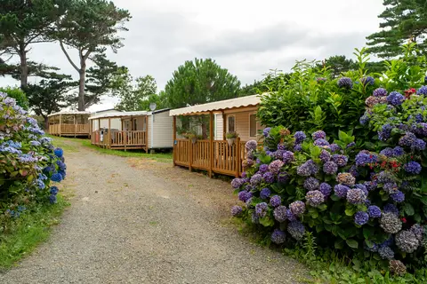 Flower Camping Le Port De La Chaine in Pleubian — foto 2