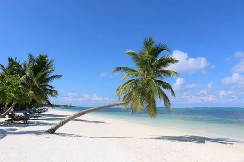 Canareef Resort Maldives in ހިތަދޫ — foto 15