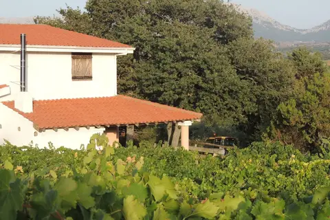 Su Lithu in Bitzi/Bitti, foto 28