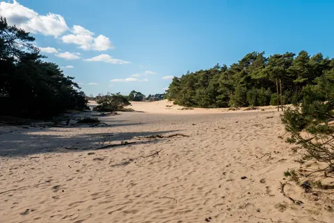 Vakantiepark De Zanding foto 35