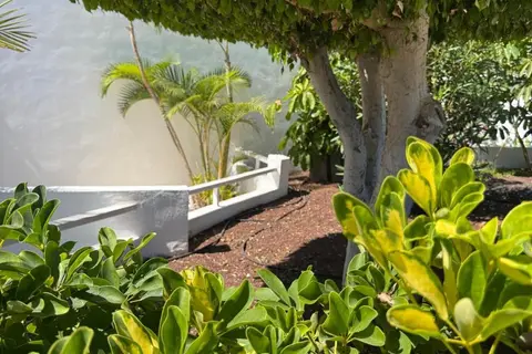 Hotel Malibu Park in Adeje — foto 21