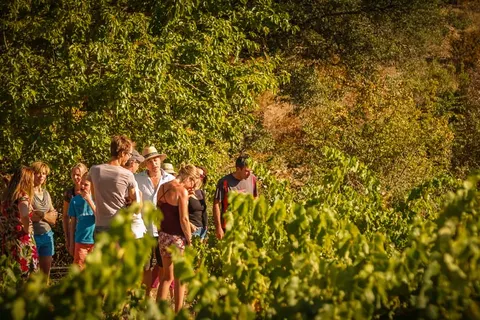 Camping Du Domaine D Anglas foto 4