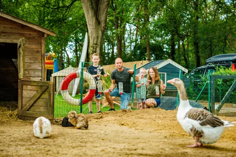 Vakantiepark De Luttenberg foto 10