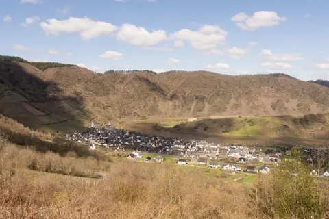 Ferienhaus Scheid foto 14