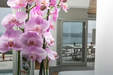 Melidonia Suites in Δημοτική Ενότητα Θήρας — foto 12