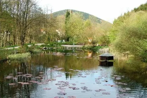 Harz Hotel Iris foto 24