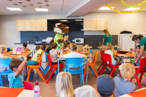 Camping Holiday Green foto 29