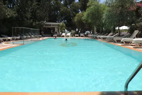 Okaliptus in Bodrum, foto 2