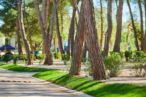 Camping Stella Maris foto 5