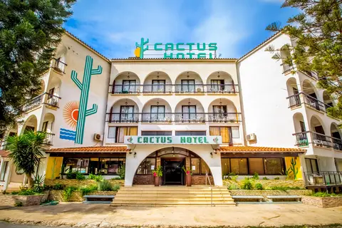 Cactus in Larnaca — foto 17