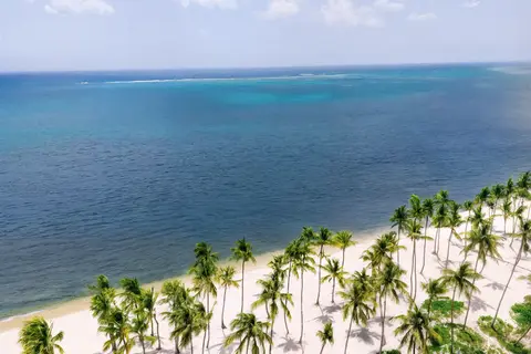 Hyatt Vivid Punta Cana, Adults Only in Salvaleón de Higüey, foto 6