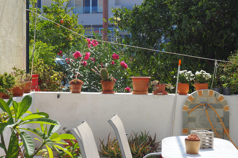 Appartementen Calypso Bay foto 15