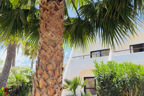 Monte Marina Naturist Resort in Jandia — foto 15