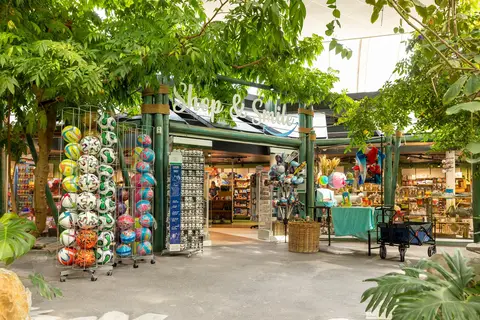 Center Parcs Het Meerdal in America — foto 15