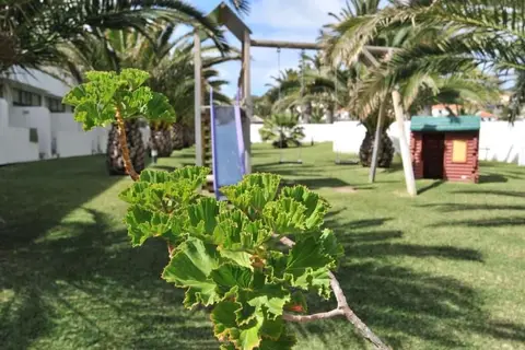 Torre Praia in Porto Santo, foto 24