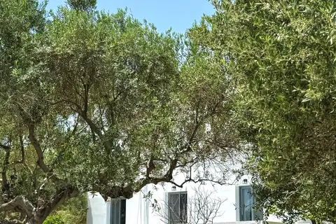 Hotel Casa Garden in Δημοτική Ενότητα Καρπάθου — foto 11