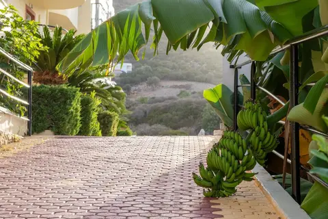 Elpis Studio-Apartments in Μπαλί — foto 30