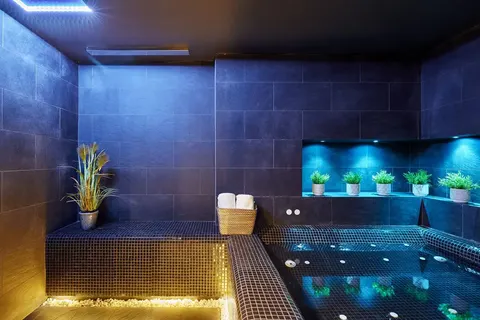 Hotel Delamar foto 34