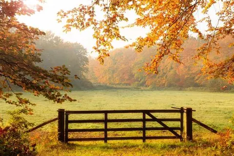 De Kastanjefabriek foto 21