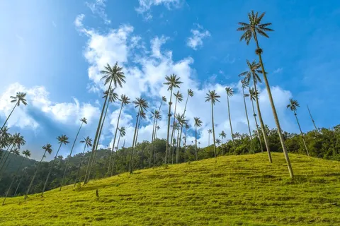 Rondreis Compleet Colombia in Rondreizen — foto 21