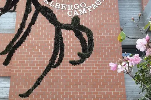 Campagna in Cannobio, foto 28