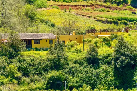 Finca Natura Canaria in Moya, foto 10