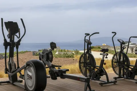 Santo Mine Oia Suites in Δημοτική Ενότητα Οίας — foto 10