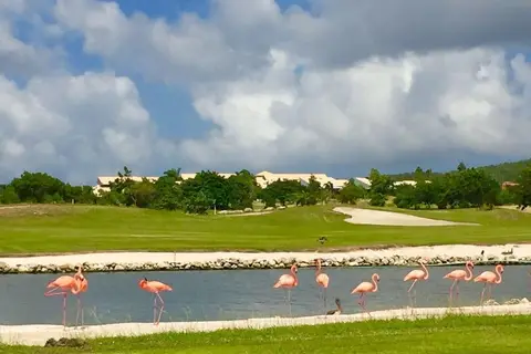 Blue Bay Curacao Golf & Beach Resort in Blue Bay Golf Beach Resort, foto 28