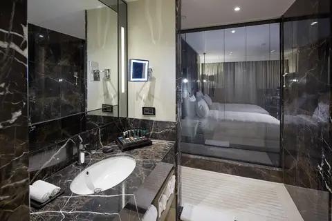 Pullman Istanbul Hotel & Convention Center in Bahçelievler, foto 22