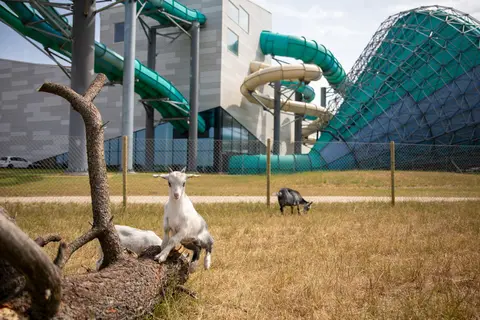 Vakantiepark Lalandia Søndervig in Søndervig — foto 27
