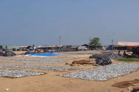 10 daagse fly drive Sri Lanka in Vogelvlucht in Kelebokka — foto 4