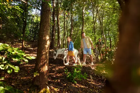 Center Parcs De Vossemeren in Lommel — foto 12