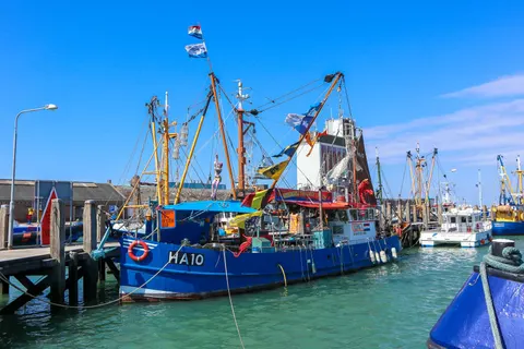 Vakantiepark Bad Meersee foto 4