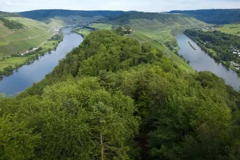 Ringhotel Bömers Mosel Landhotel foto 22
