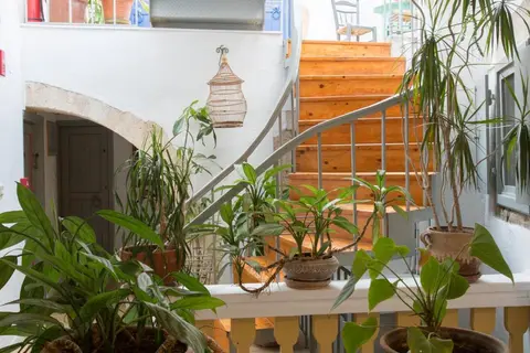 Nostos in Chania, foto 4
