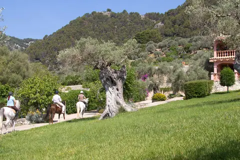 Eco Hotel Rural & Spa Monnaber Nou in Campanet — foto 15