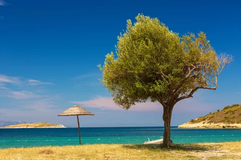 Bingo Kusadasi 5* foto 4