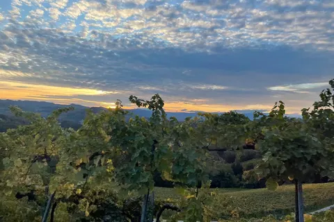 Weingut Rohrbacher foto 5