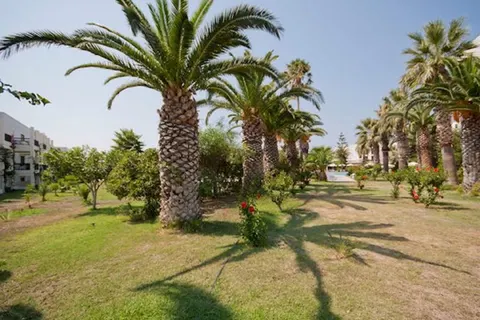 Tigaki Beach Hotel foto 18