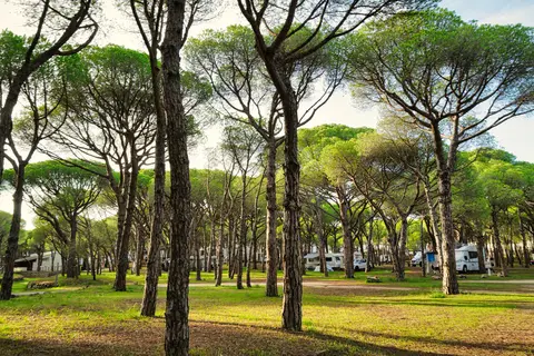 Wecamp Cala Montgó in l'Escala — foto 27