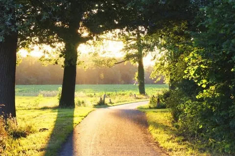 Hotel &ampapos;t Holt foto 16