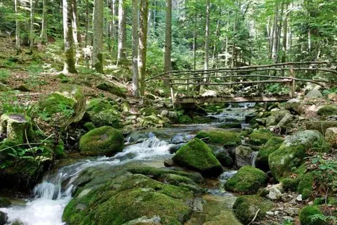 Hotel Bergland Hof foto 16