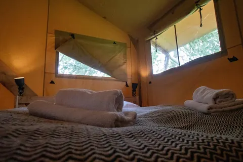 Ecolodges de Dreef foto 4