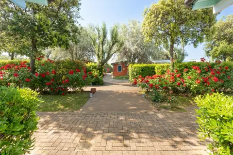 Natural Village Resort in Potenza Picena, foto 29